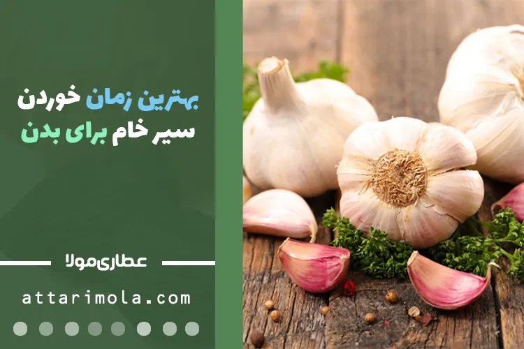 بهترین زمان خوردن سیر خام برای بدن