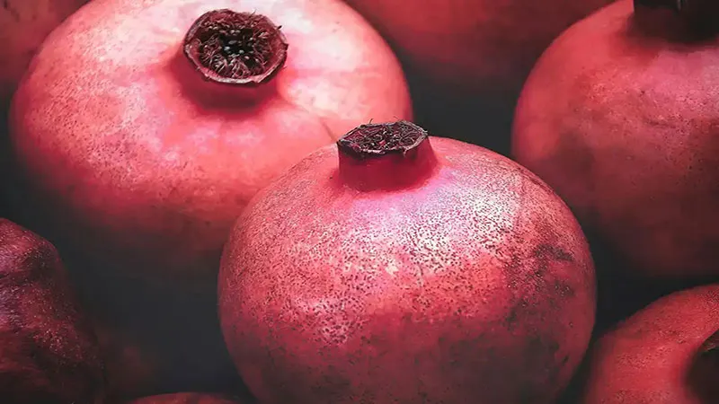 ۵ نکته مهم قبل از اجاره سردخانه انار