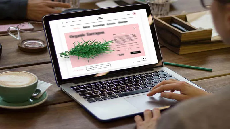 کسب درامد از طراحی سایت